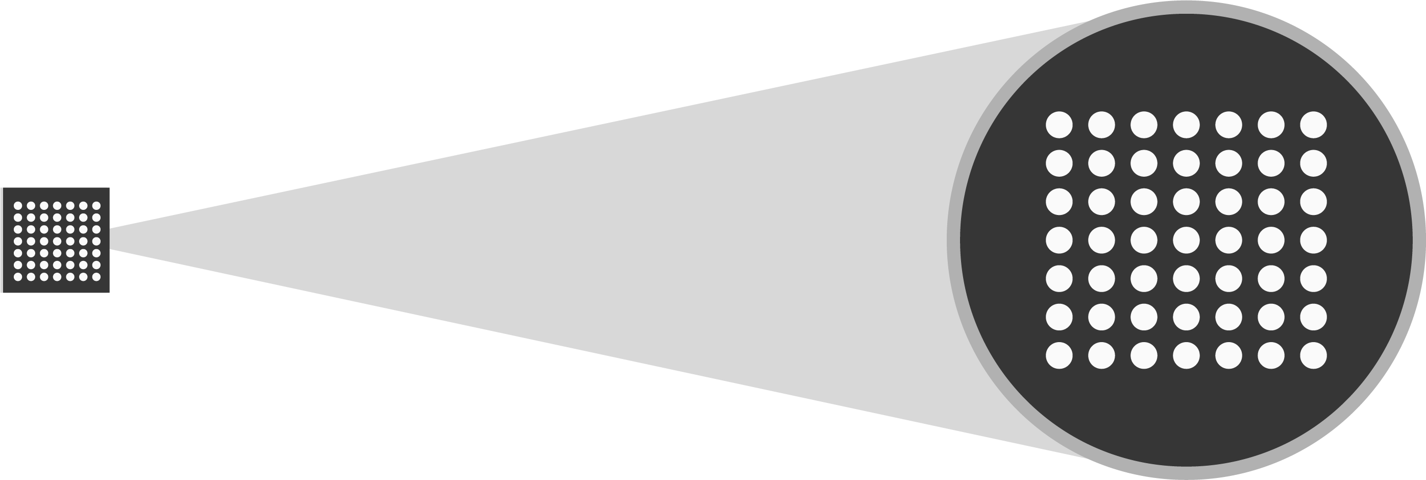 Biochip